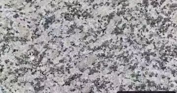 沧州 芙蓉白（芝麻白大花）火烧面