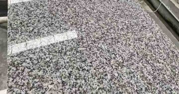 沧州 芙蓉白光面