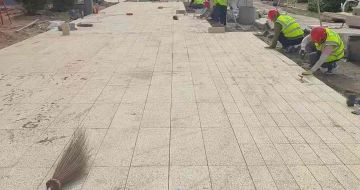 沧州黄金麻荔枝面地铺案例