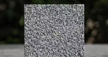 沧州 芝麻黑荔枝面