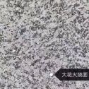 沧州 芙蓉白（芝麻白大花）火烧面
