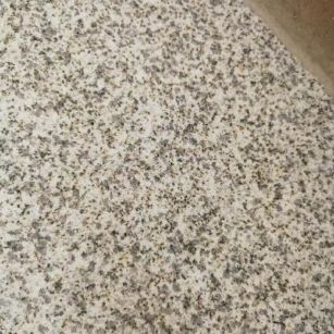 沧州 黄金麻中黄光面