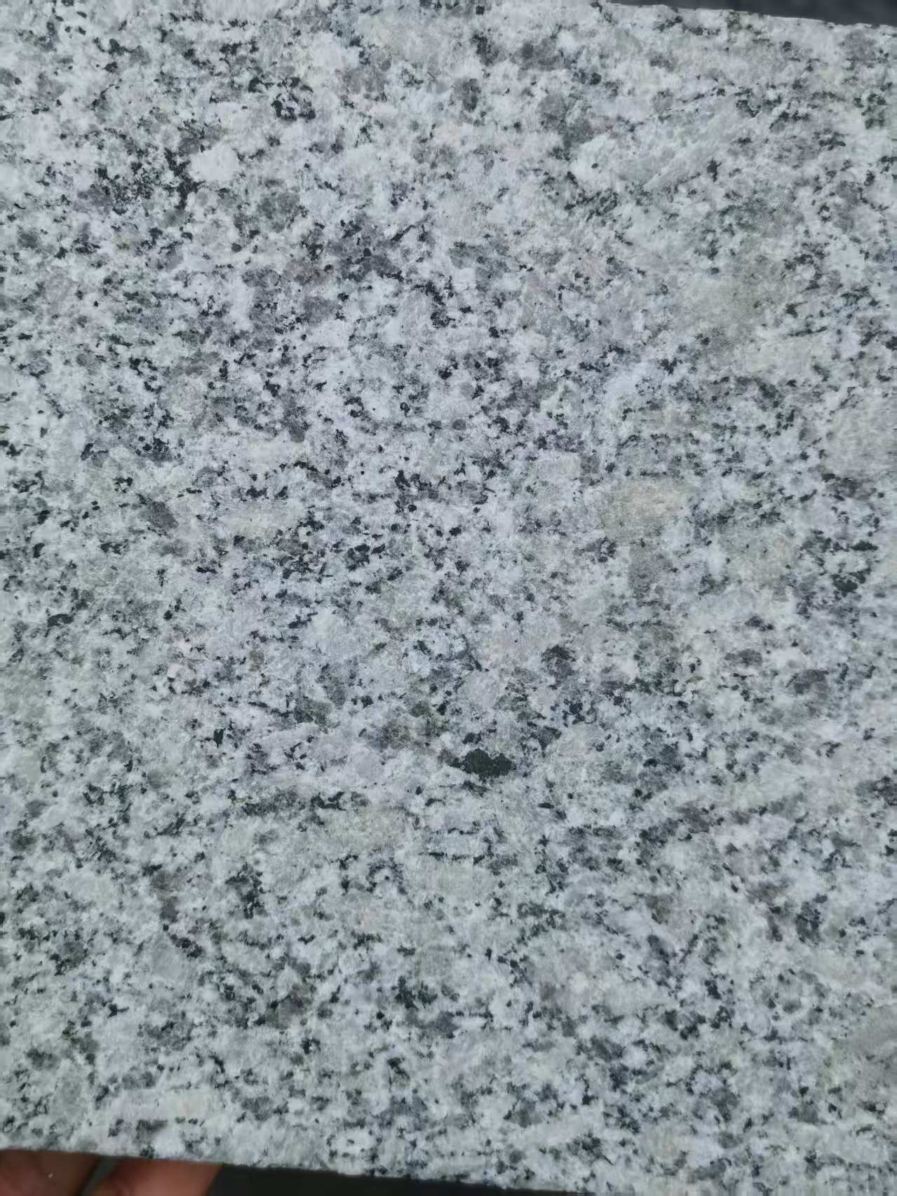 沧州 芙蓉白火烧面