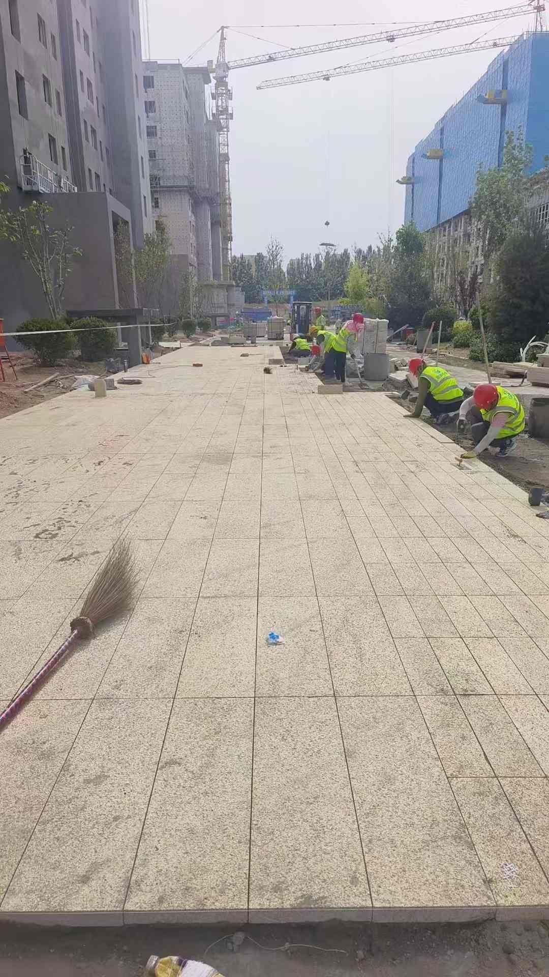 沧州黄金麻荔枝面地铺案例