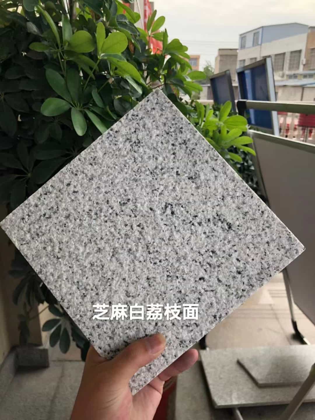 沧州 芝麻白荔枝面干挂