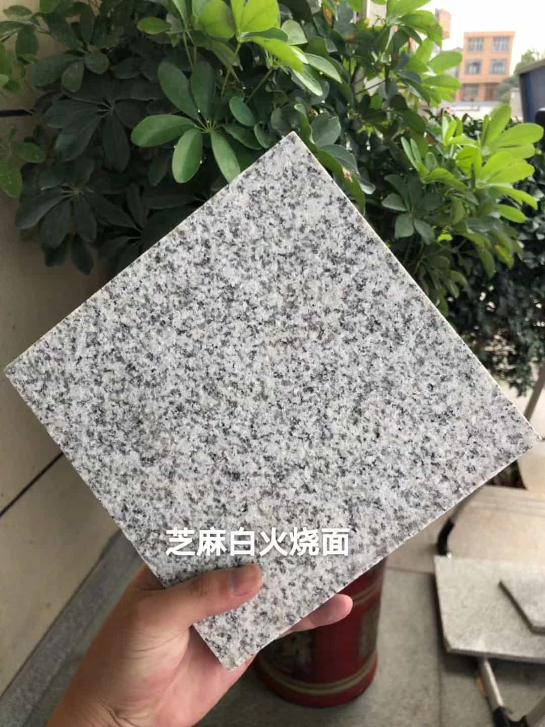 沧州芝麻白火烧面地铺