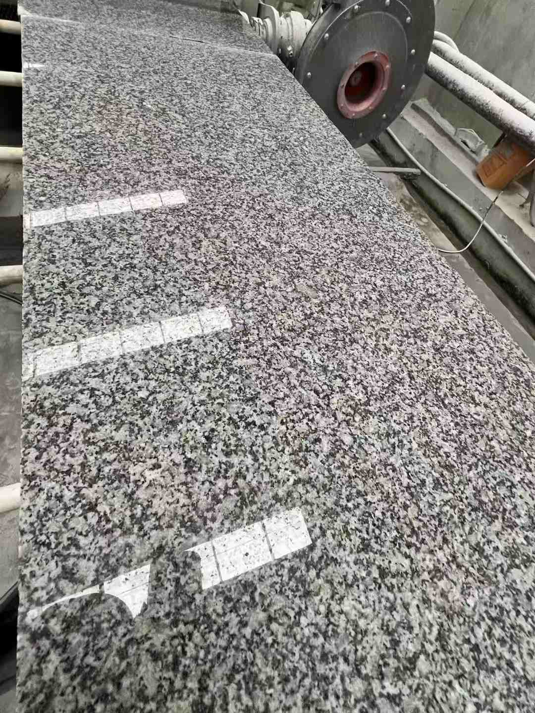 沧州 芙蓉白光面